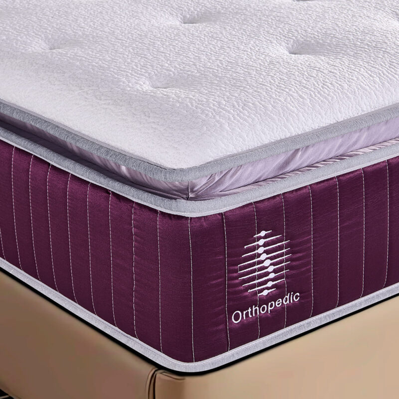Orthopedic Glacier 6
