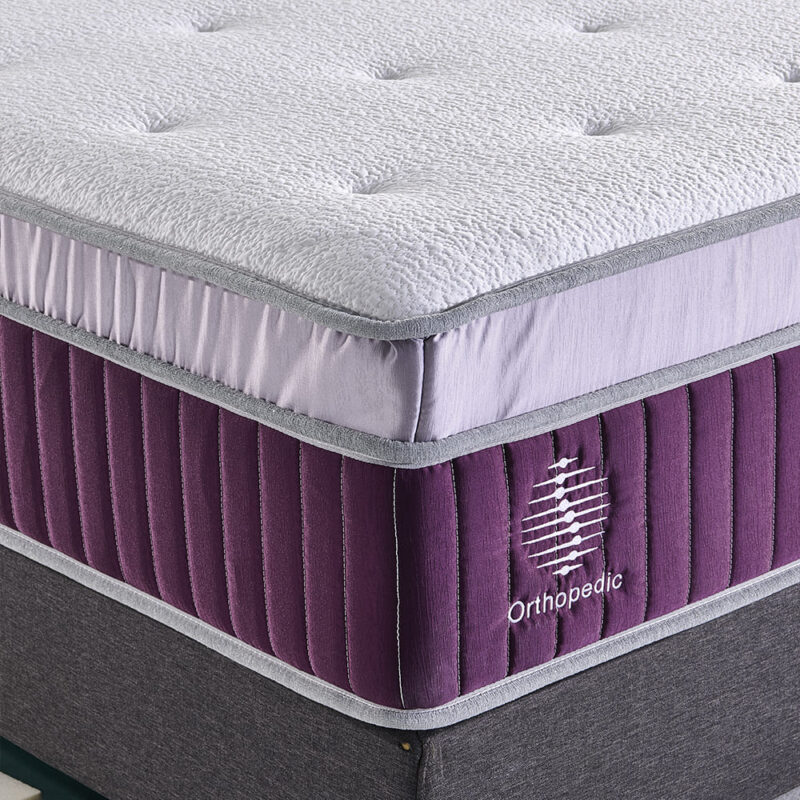 premium back care 3